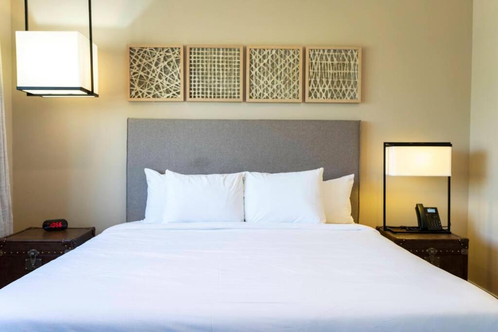Modern And Luxury 4 Suites Close To Disney 7544 Orlando Buitenkant foto